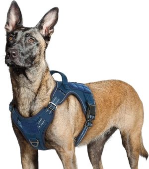 rabbitgoo Dog Harness No Pull, Military Dog Harness Small Breed with Handle & Molle, Easy Control Service Dog Vest Harness Training Walking, Adjustable Reflective Tactical Pet Harness, Black, S