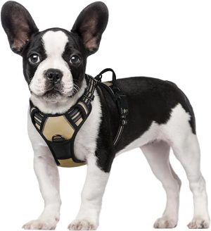 rabbitgoo Dog Harness, No-Pull Pet Harness with 2 Leash Clips, Adjustable Soft Padded Dog Vest, Reflective No-Choke Pet Oxford Vest with Easy Control Handle for Small Dogs, Beige,XS