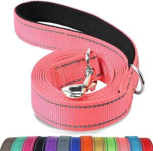 Joytale Double-Sided Reflective Dog Leash, 6 FT/5 FT/4 FT, Padded Handle Nylon Dogs Leashes for Medium & Large Dogs Walking, Pink, 5FT
